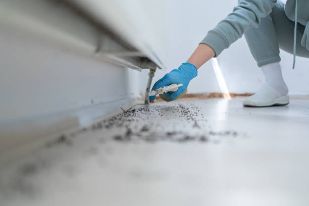 Best Emergency Pest Control  in Kingsford, MI